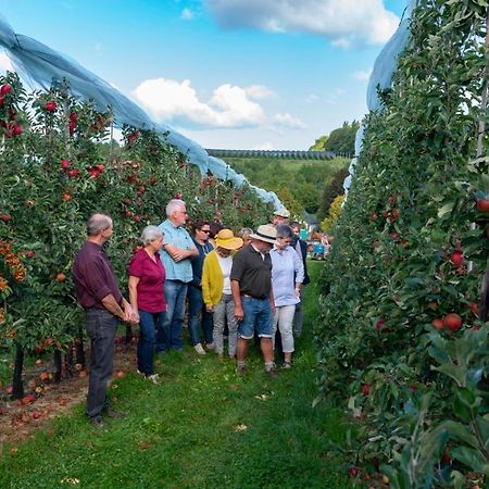Vakantie Oord Zonnehoeve Valkenburg aan de Geul Exterior foto